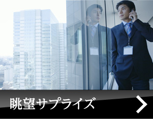 眺望サプライズ